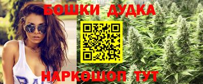круглые Кингисепп