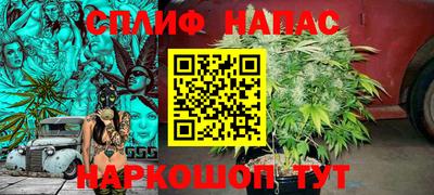 круглые Кингисепп