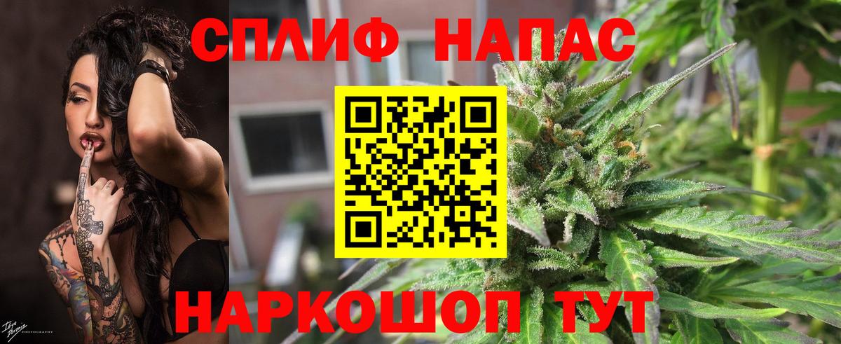 Бошки марихуана MAZAR  Вход с VPN  Марихуана AK-47  Котовск 